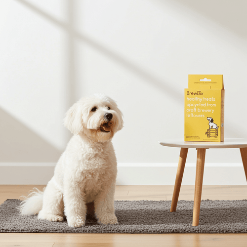 BrewBix Dog Treats - Nutritious & Delicious Treats for Dogs | Pilgrim Pets - Pilgrim Pet Supplies