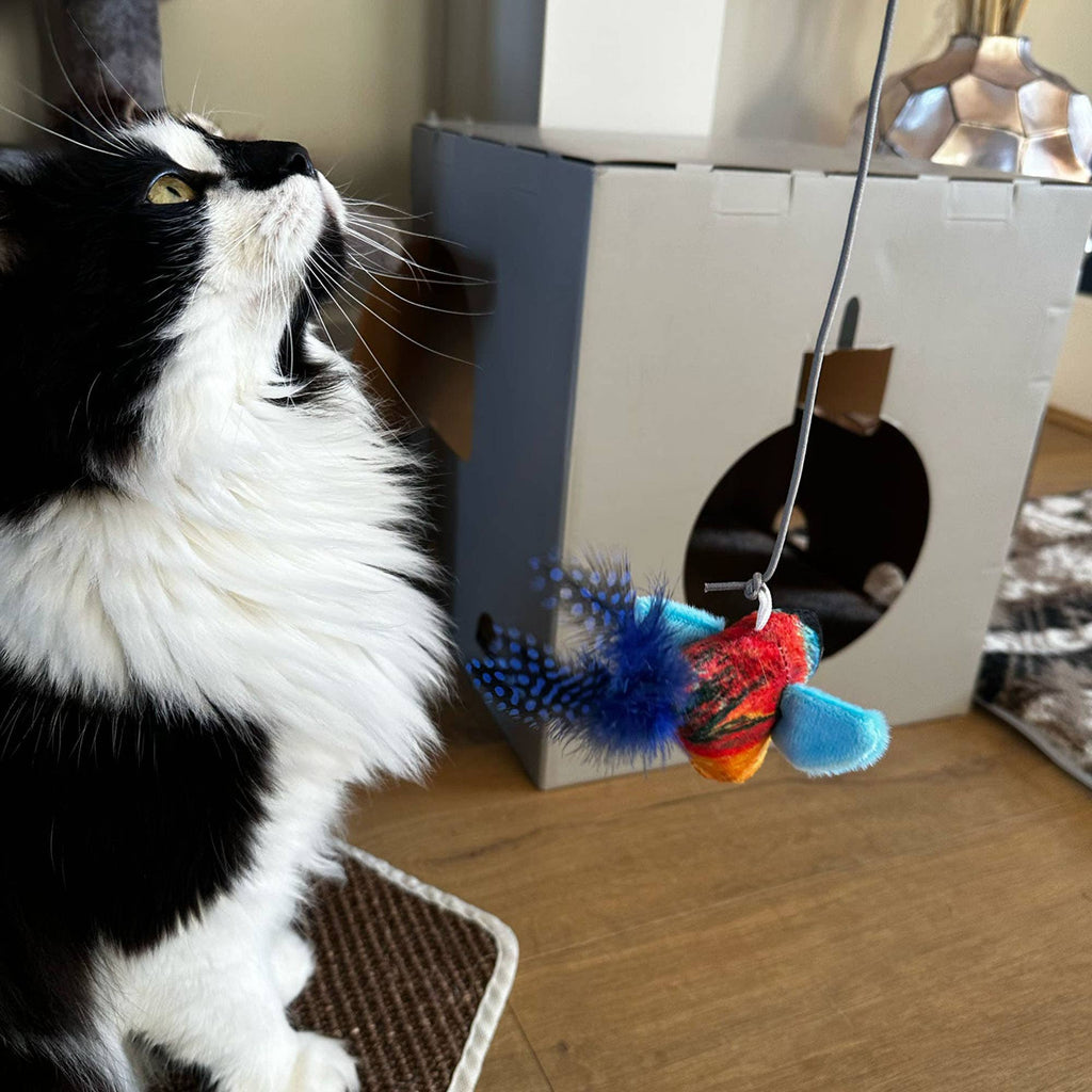Chirping Birds Cat Toy with 90cm String - Bull Finch - Pilgrim Pet Supplies