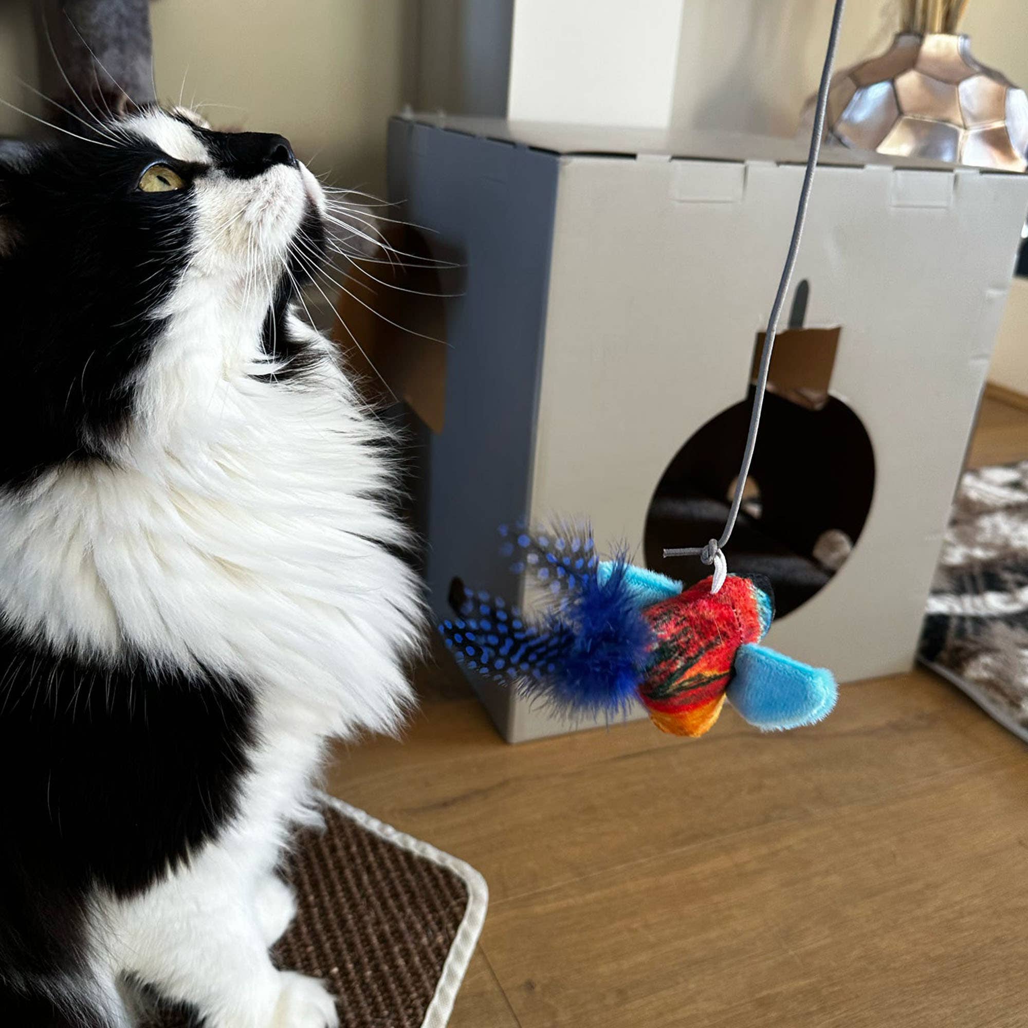 Chirping Birds Cat Toy with 90cm String - Bull Finch - Pilgrim Pet Supplies