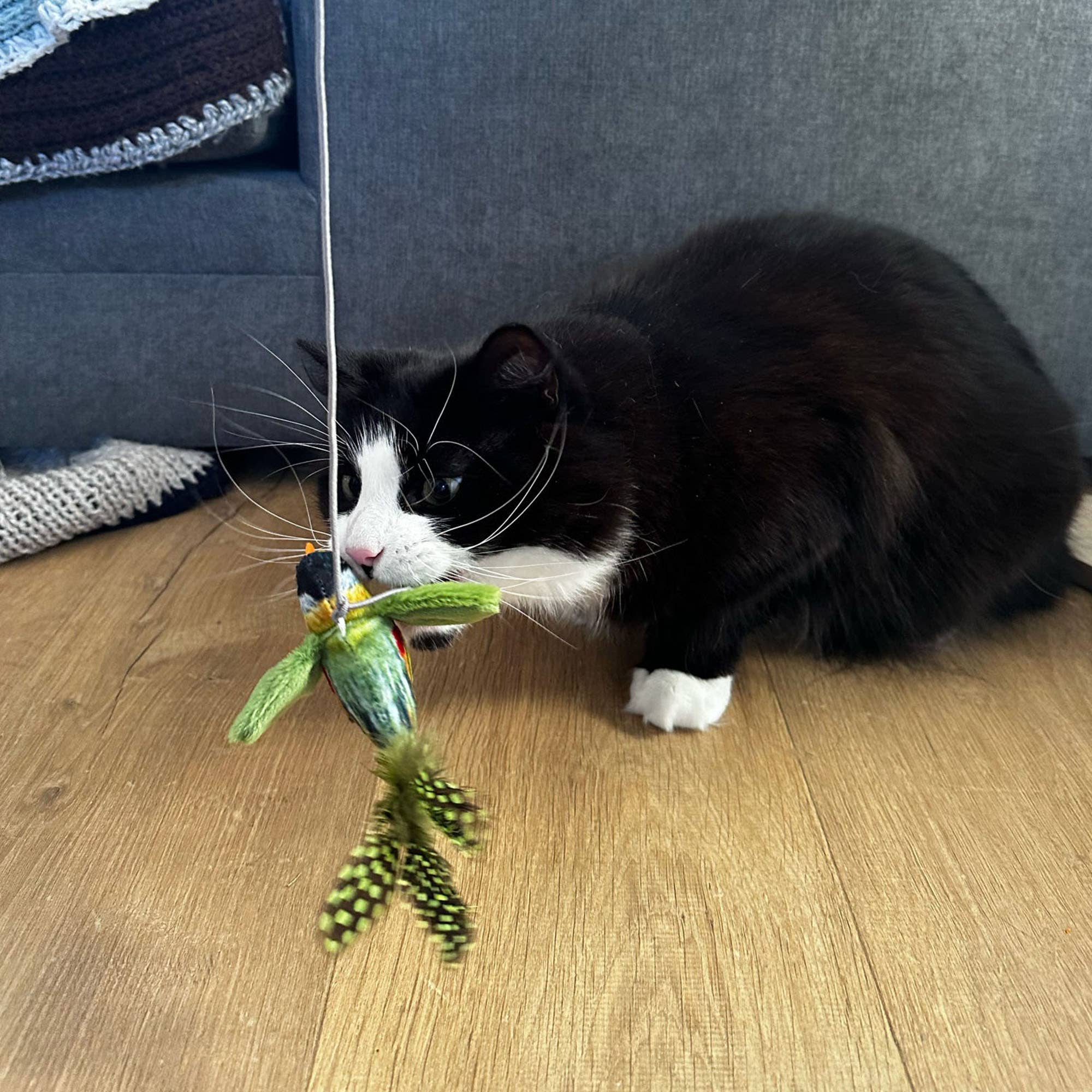 Chirping Greenfinch Cat Toy with 90cm String - Pilgrim Pet Supplies