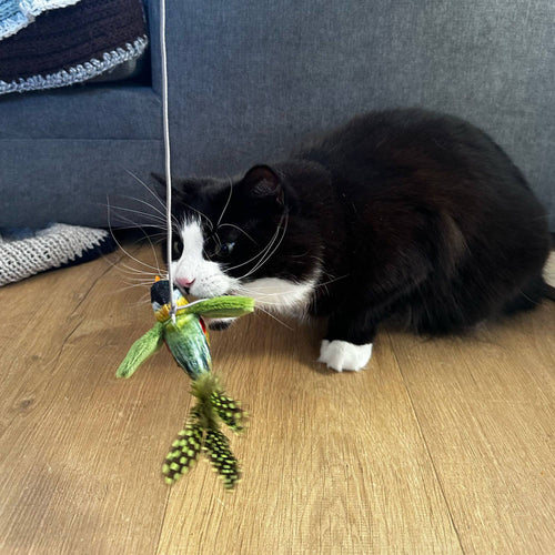 Chirping Greenfinch Cat Toy with 90cm String - Pilgrim Pet Supplies