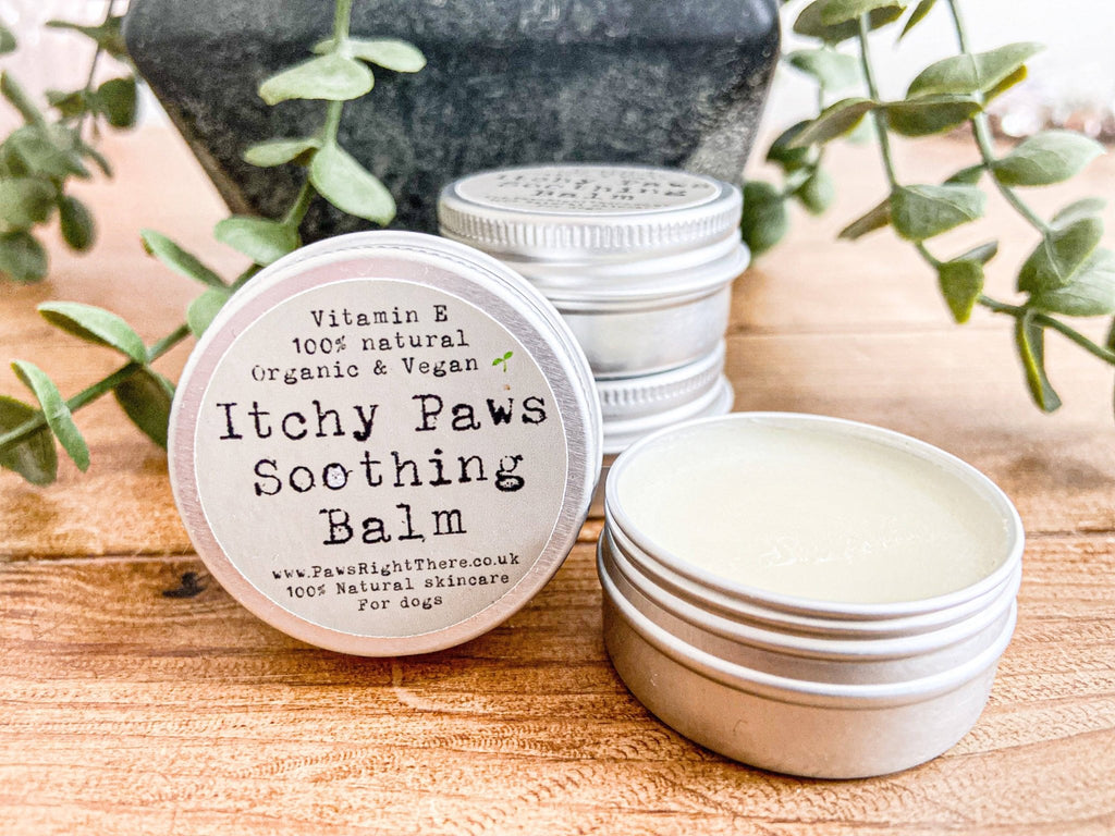 Itchy Paws Dog Balm – Natural, Vegan, Lick - Safe, Soothing - Pilgrim Pet Supplies