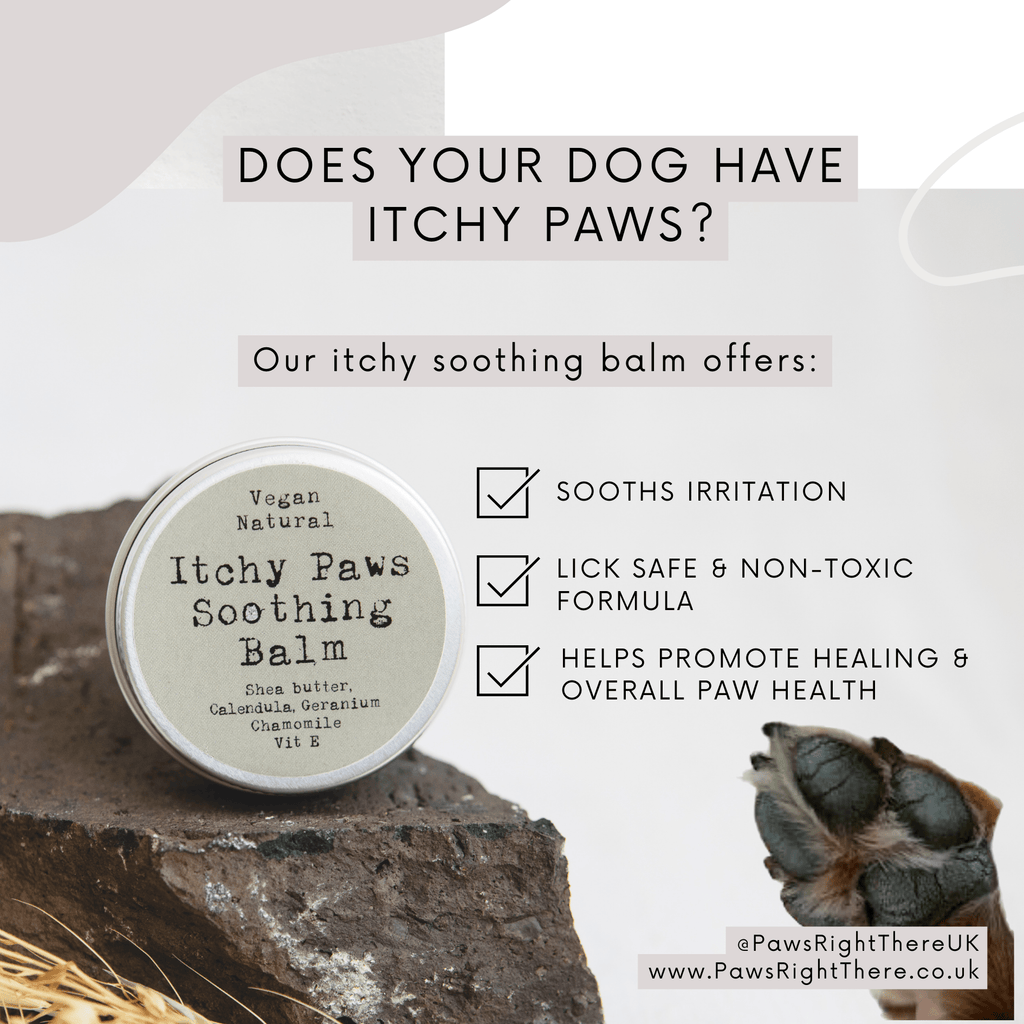 Itchy Paws Dog Balm – Natural, Vegan, Lick - Safe, Soothing - Pilgrim Pet Supplies