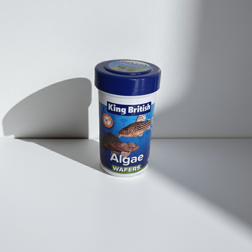 King British 40g algae wafers - Pilgrim Pet Supplies
