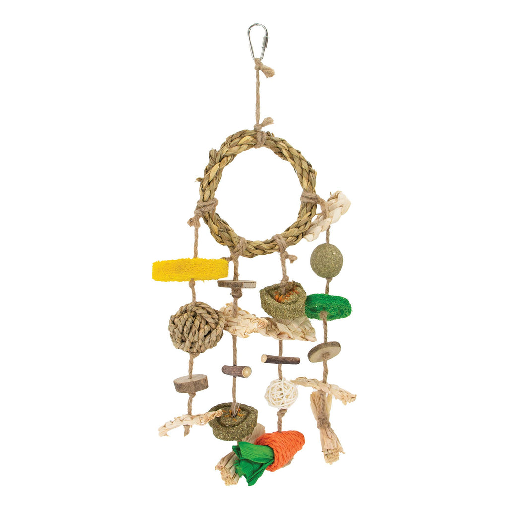 Small Animal Enrichment Dreamcatcher - Pilgrim Pet Supplies