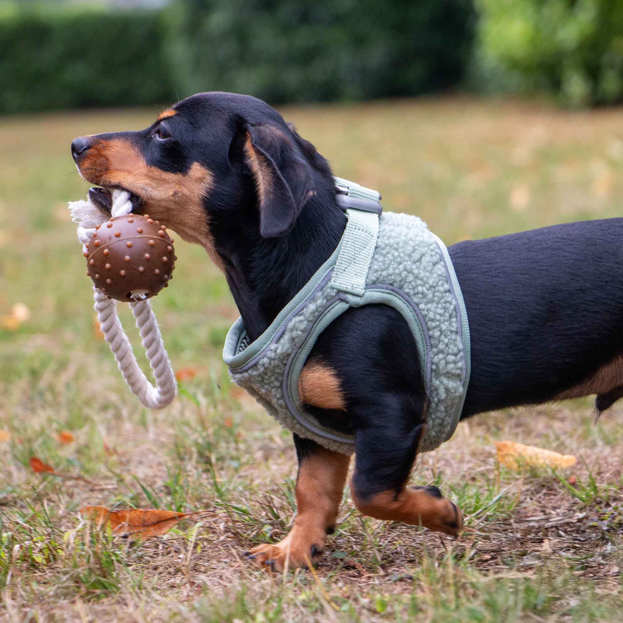Small Bite Coffee Grounds Ball - Pilgrim Pet Supplies