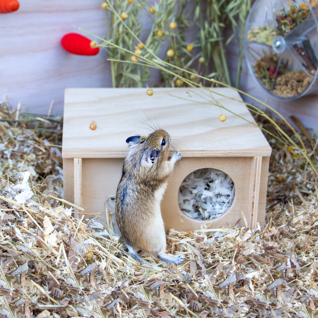 Small Pet Wooden Hide - Pilgrim Pet Supplies